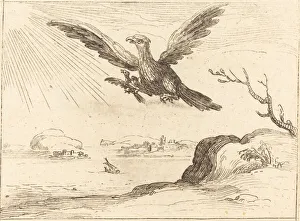 Jacques Callot's Eagle and Young Print