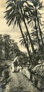 Vintage Middle East Images Prints: Egypt - Rest for Drinking, c1918-c1939. Creator: Unknown