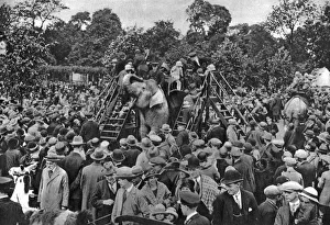 Elephant rides at London Zoo, 1926-1927. Artist: McLeish Elephant rides at London Zoo, 1926-1927. Artist: McLeish