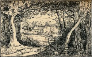 Monochrome Drawings Prints: The End of the Glade, Epping Forest, c1900. Artist: Selwyn Image