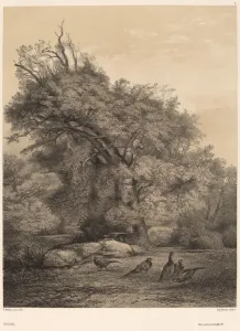 Karl Bodmer Faisans Print - Pheasants in Nature