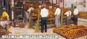 Factory Interior Photography Prints: Feed End of Drying Machine, 1926