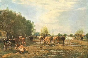 Amalgamated Press Ltd Publications Prints: Fen Meadows with Cattle, 1877, (c1930). Creator: Mark Fisher