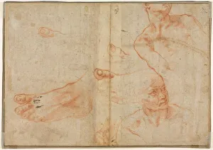 Red Chalk Drawings Italy Prints: Figure Studies for the Sistine Ceiling (verso)