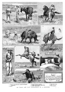 Victorian Era Horse Riding Prints: My First and Last Experience of a Broncho, 1891. Creator: Unknown