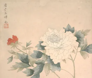 Flower Study, 17th century. Creator: Yun Bing Flower Study, 17th century. Creator: Yun Bing
