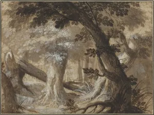 Brown Ink Artwork Prints: Forest Interior, c. 1610. Creator: Unknown