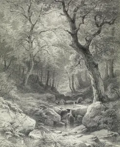 Second Half 19th Century Forest Scene Print by Paul Weber