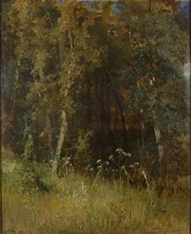 Heritage Images Print of Forest Thicket, 1874