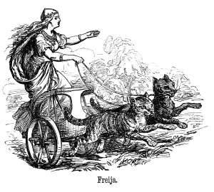 Freya (Frigg) goddess of love in Scandinavian mythology, driving her chariot pulled by cats Freya (Frigg) goddess of love in Scandinavian mythology, driving her chariot pulled by cats