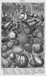 Heritage Images Print of Fruit, 1907