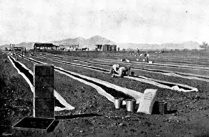 Agricultural Worker Occupation Prints: Fruit-Growing in California: drying prunes, 1895. Creator: George Meisenbach