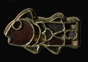 German Fibula in the Form of a Fish Print