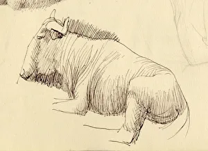 Gnu, c1951. Creator: Shirley Markham Gnu, c1951. Creator: Shirley Markham