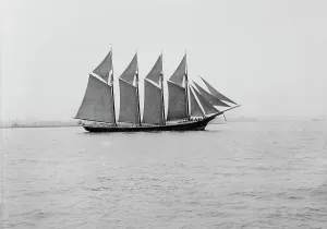 Black And White Ship Images Prints: Going out to sea, c1908. Creator: Unknown