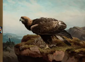 Bird Of Prey Artwork Prints: Golden Eagle at a Cliff's Edge, 1880. Creator: Ferdinand von Wright
