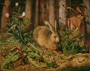 Animal Depiction In Art Prints: A Hare in the Forest, about 1585. Creator: Hans Hoffmann