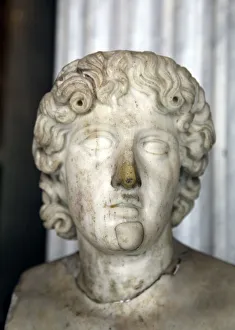 Ancient Greek Medicine Prints: Head of Asklepios