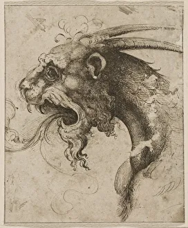 Italian Renaissance Drawings Prints: Head of a Chimera