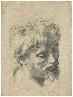 Renaissance Art Prints: Head of a Young Apostle Print