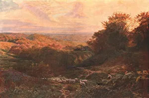 English Rural Scene Prints: The Heart of Surrey, 1874, (c1902). Creator: Unknown
