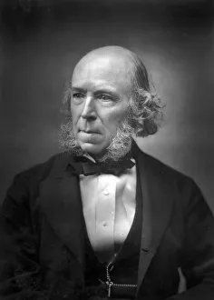 Herbert Spencer (1820-1903), late 19th century Herbert Spencer (1820-1903), late 19th century