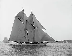 Black And White Sailboats Prints: Hildegarde, c1900. Creator: Unknown