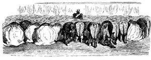 History of Holy Russia. A great ball in the Winter Palace, 1854. Artist: Gustave Dore History of Holy Russia. A great ball in the Winter Palace, 1854. Artist: Gustave Dore