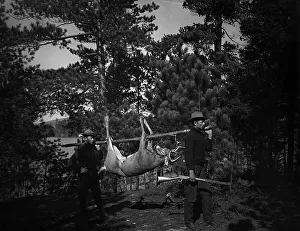 Hunting in the Adirondacks Print, c1903
