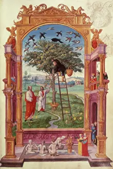 Print of a man climbing a ladder against a golden fruit tree