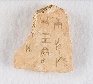 Late Shang Dynasty Oracle Bone Print, 1300-1050 BCE