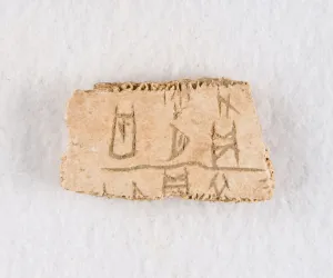 Late Shang Dynasty Oracle Bone Print, 1300-1050 BCE