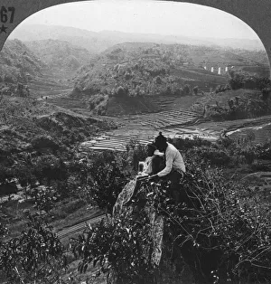 Indonesian Countryside Prints: Java, Indonesia, c1900s