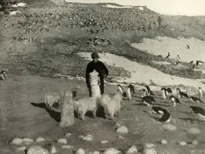 Joyce and the Dogs in the Penguin Rookery, c1908, (1909) Joyce and the Dogs in the Penguin Rookery, c1908, (1909)