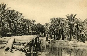 Prints of Across the Kora, Basra, c1918-c1939. From an album of postcards Images Dated 2019 February: Heritage Images Print: Across the Kora, Basra, c1918-c1939