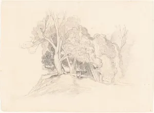 Landscape with Trees Print