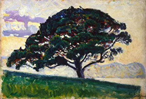 Large Pine, Saint-Tropez, 1892-1893. Artist: Paul Signac Large Pine, Saint-Tropez, 1892-1893. Artist: Paul Signac