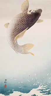 Japanese Heritage Art Prints: Leaping Carp, c1910. Creator: Ohara Koson