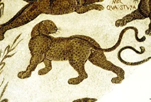 Feline Animal Images Prints: Leopard, c2nd-3rd century