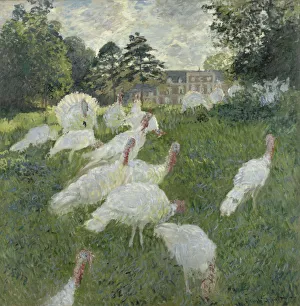 Print of 'Les dindons' from the Musee d'Orsay Collection