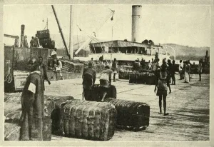 Loading a Cargo of Cotton, c1948 Print