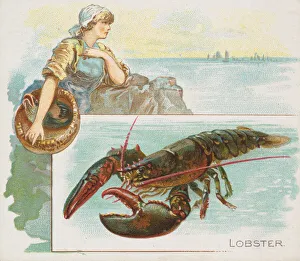 Lobster, from Fish from American Waters series (N39) for Allen & Ginter Cigarettes Lobster, from Fish from American Waters series (N39) for Allen & Ginter Cigarettes