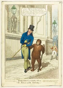 Something to Look At, 1817 Print
