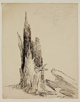 Pen And Ink Drawings Prints: Lower Part of a Tree 'Recently Fallen', 1825. Creator: Thomas Cole