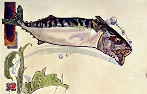 Edward Detmold Artwork Prints: Mackerel, 1900