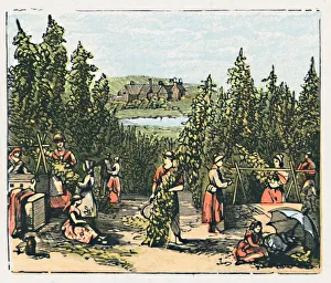 Colour Print of Maidstone, c1910: Kent's Hop-growing Centre