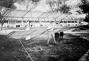 Malcolm Allison with Glider Print, circa 1910-1915