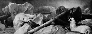 Man Proposes, God Disposes, 1864, (1912). Artist: Edwin Henry Landseer Man Proposes, God Disposes, 1864, (1912). Artist: Edwin Henry Landseer