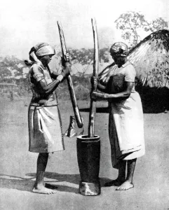 Two Mashona tribeswomen pounding maize and millet, Zimbabwe, Africa, 1936 Two Mashona tribeswomen pounding maize and millet, Zimbabwe, Africa, 1936