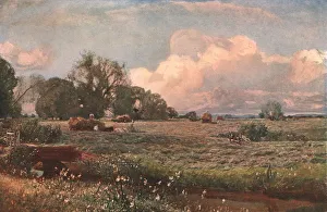 Meadow Sweets Colour Print, 1893